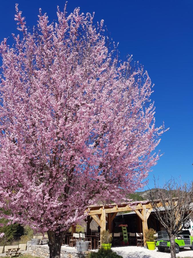 Camping Calme Et Nature Castellane Exterior photo